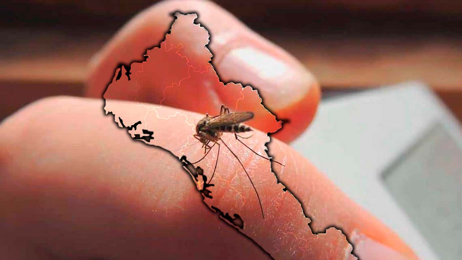 Casos de dengue en Sinaloa