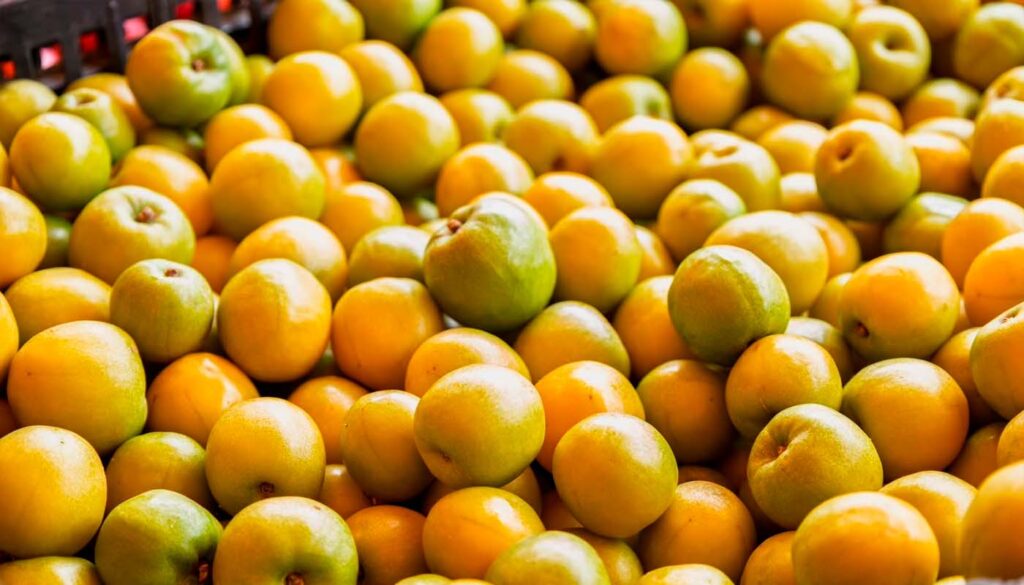 Ciruelas amarillas