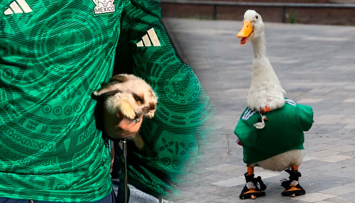 Conejo Monchis y Pato Merlín