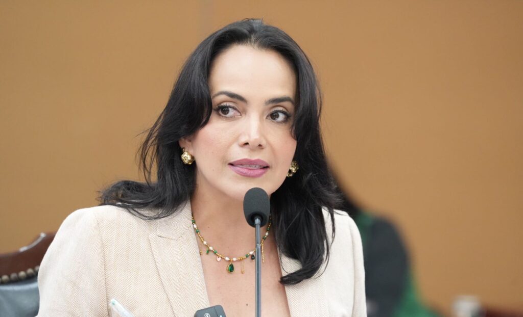 Diputada Irma Moreno Ovalles con un micrófono