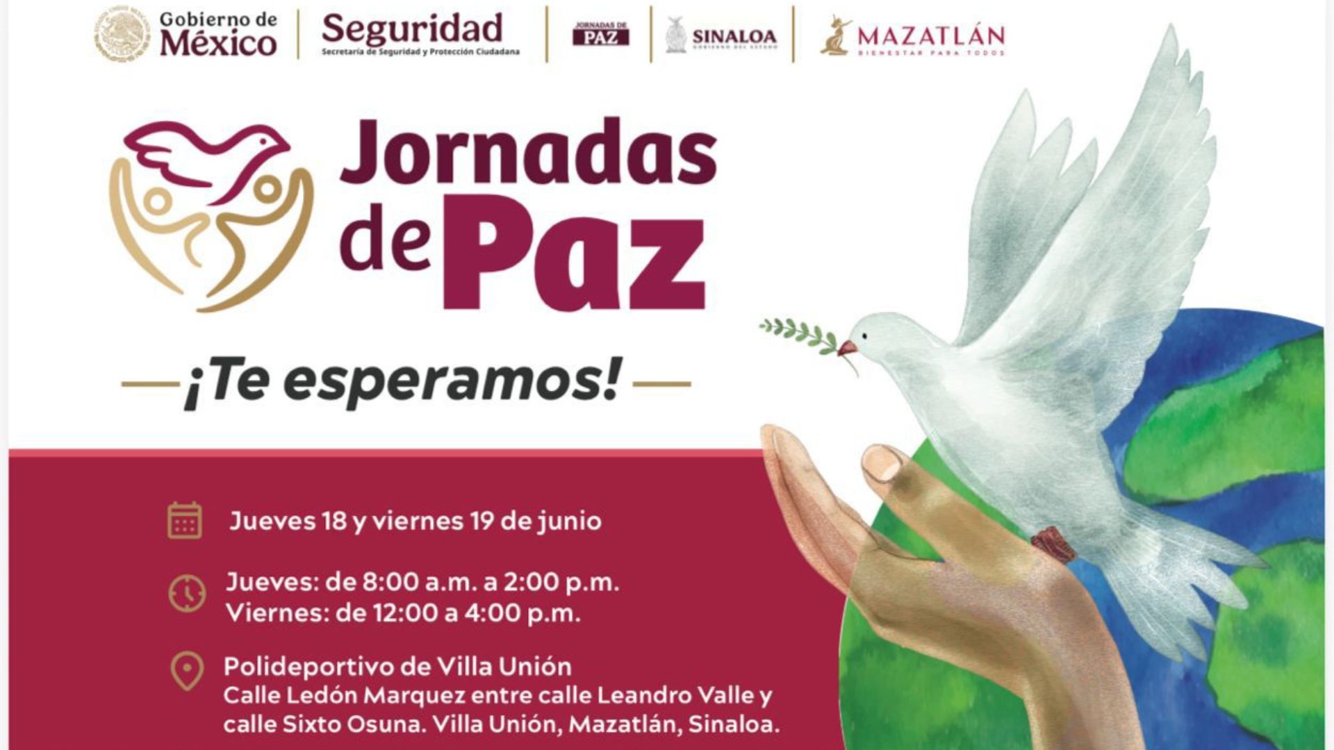 Jornada de paz