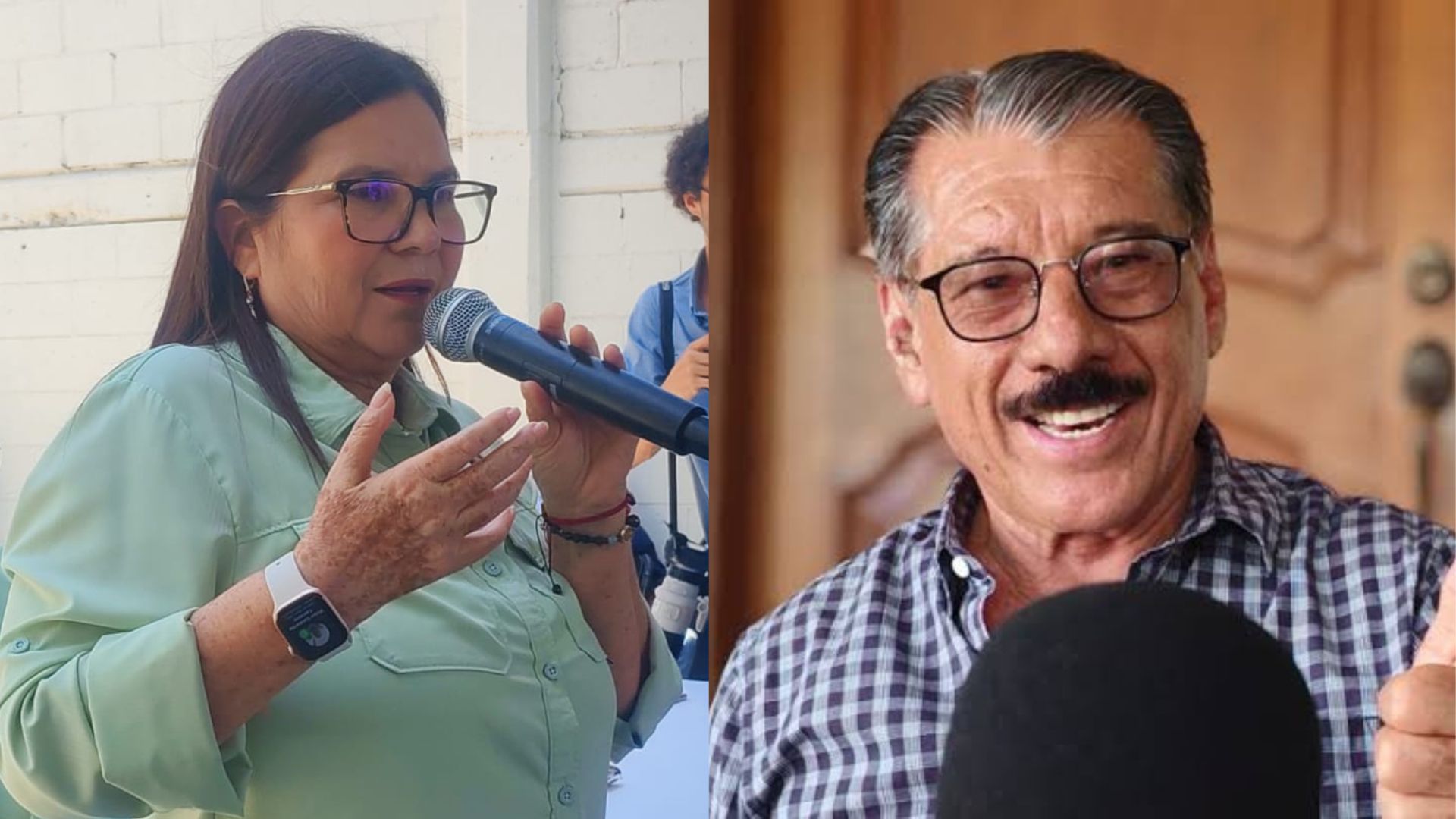 diputados