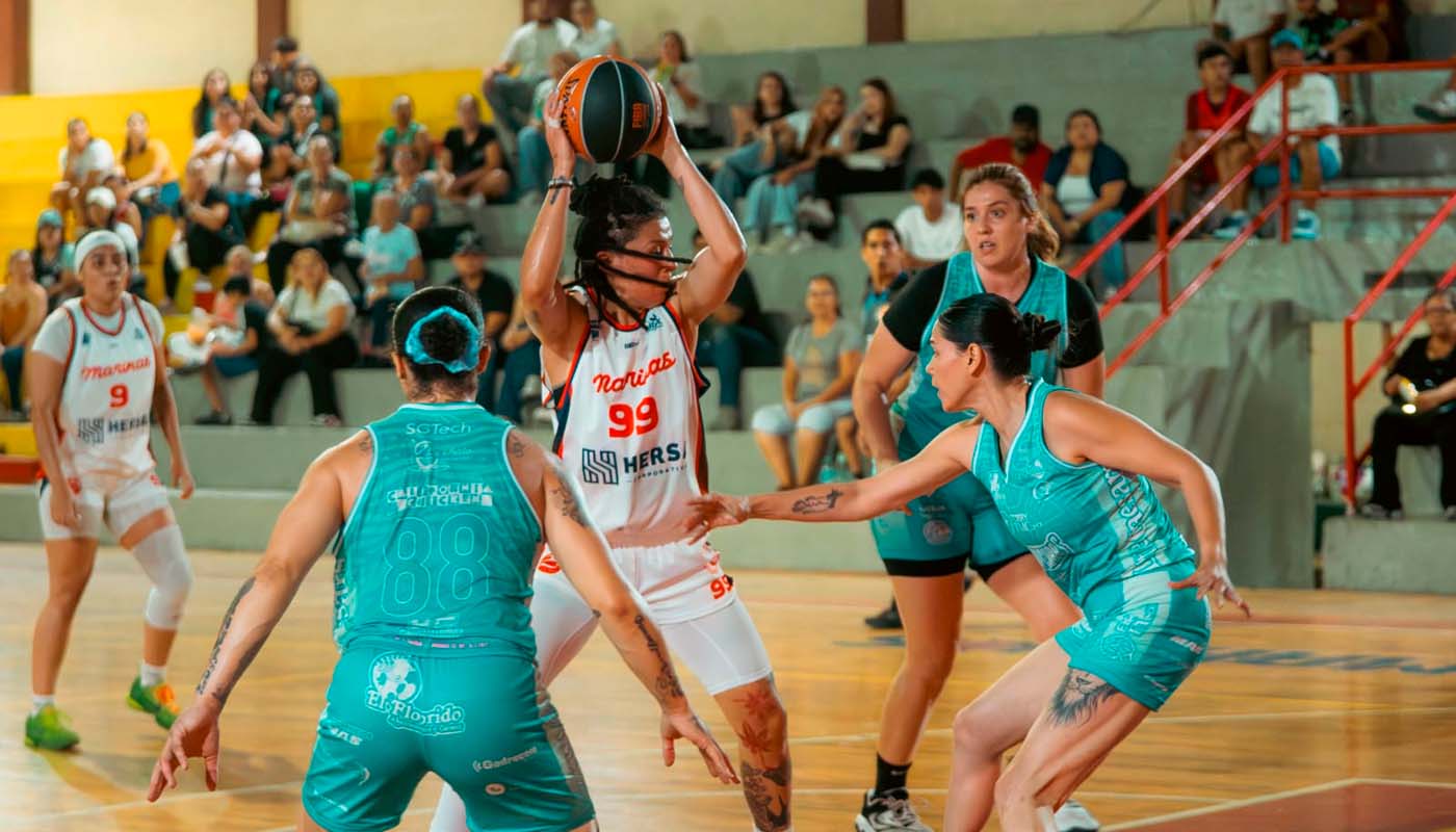 Divide Marinas Hersa en Cibapac