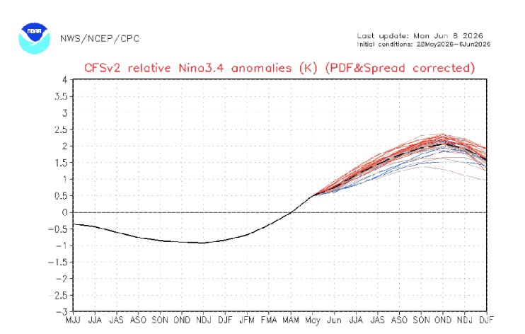 Gráfica de onda mostrando la preicción de modelos de pronóstico del clima