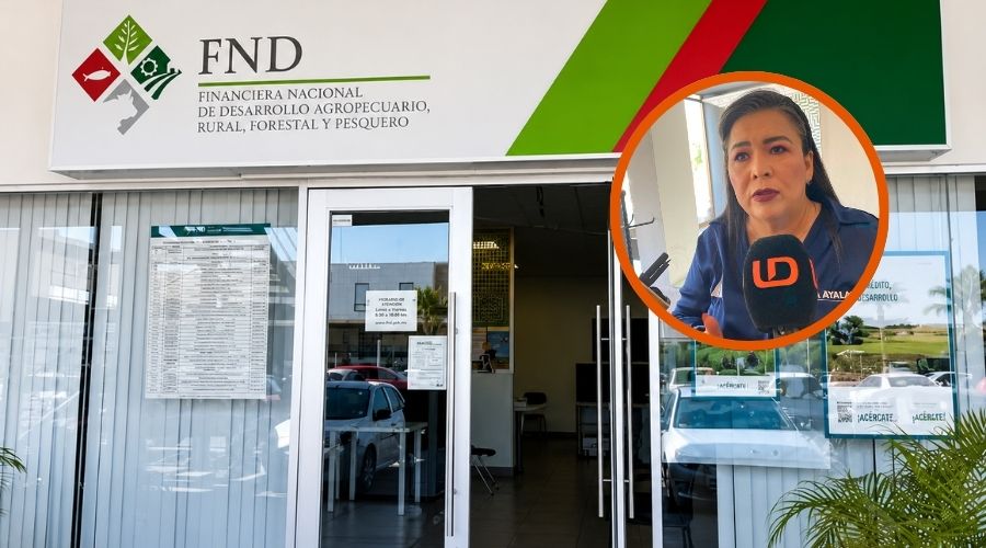 FND-Ana Ayala