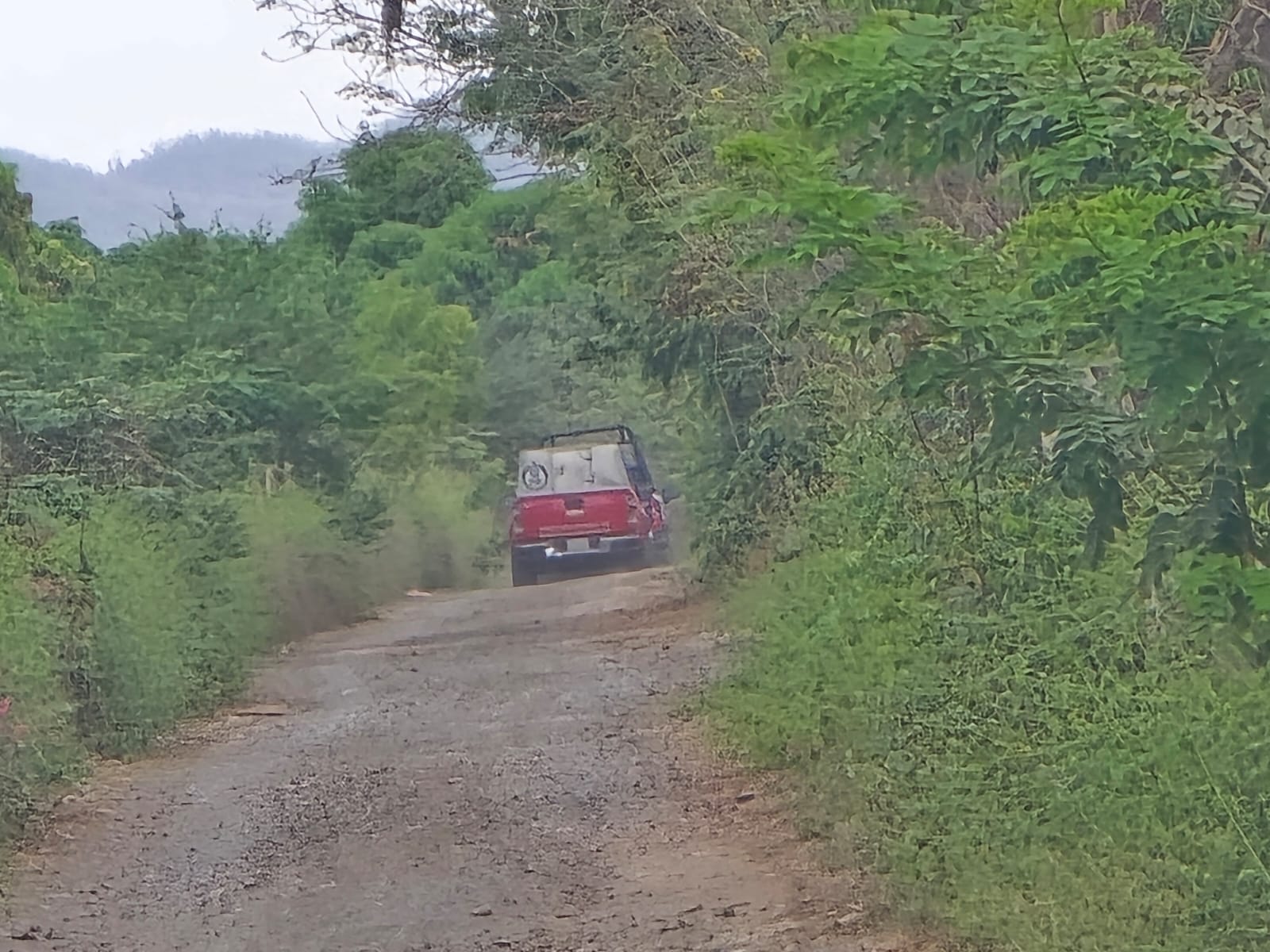 Unidades de la FGE en el lugar donde fue hallada la fosa clandestina en Agua Verde, Rosario.