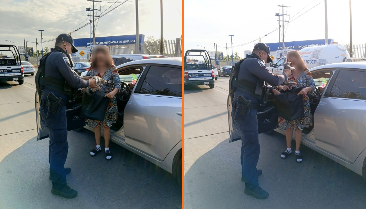 Policía municipal sosteniendo al gatito rescatado.
