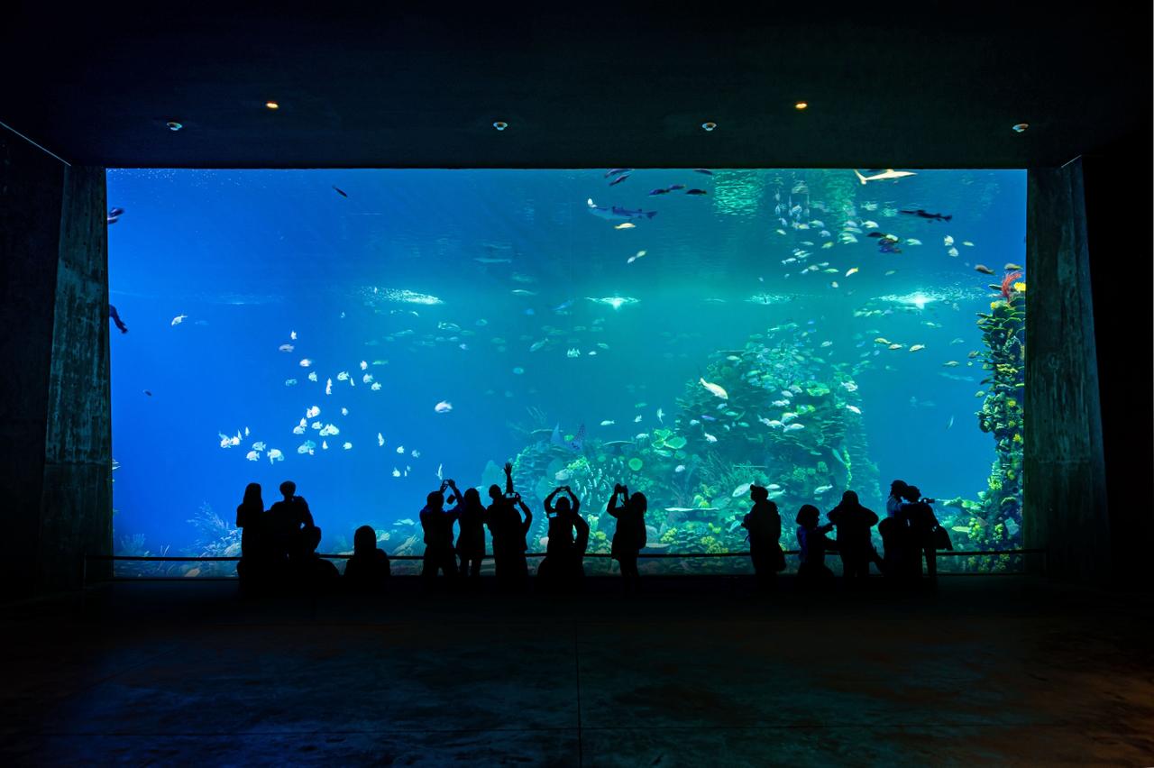 Gran Acuario Mazatlán