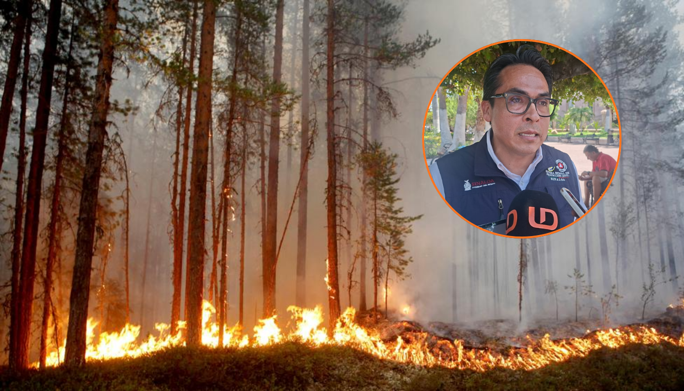 Incendio forestal y Roy Navarrete hablando con Línea Directa