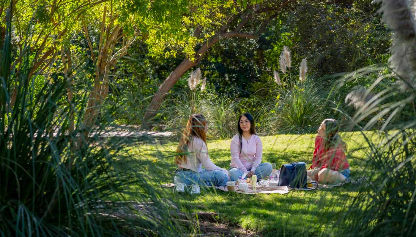 Jardín botánico Culiacán prepara recorridos, talleres y festival