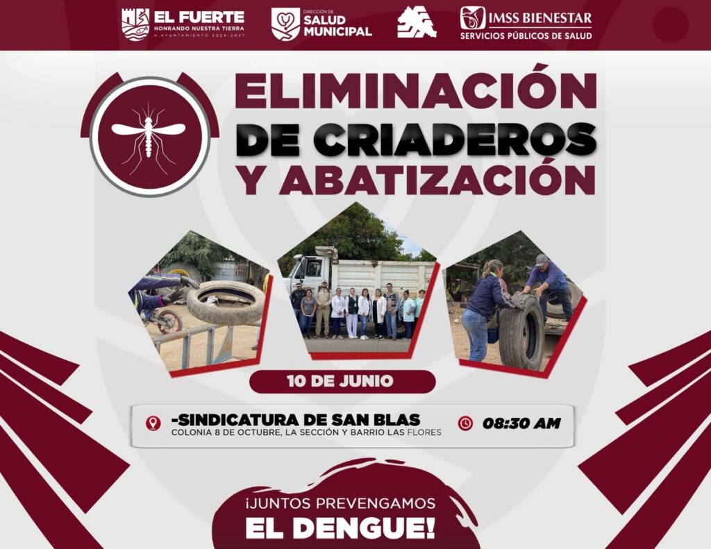 Jornada de descacharrización