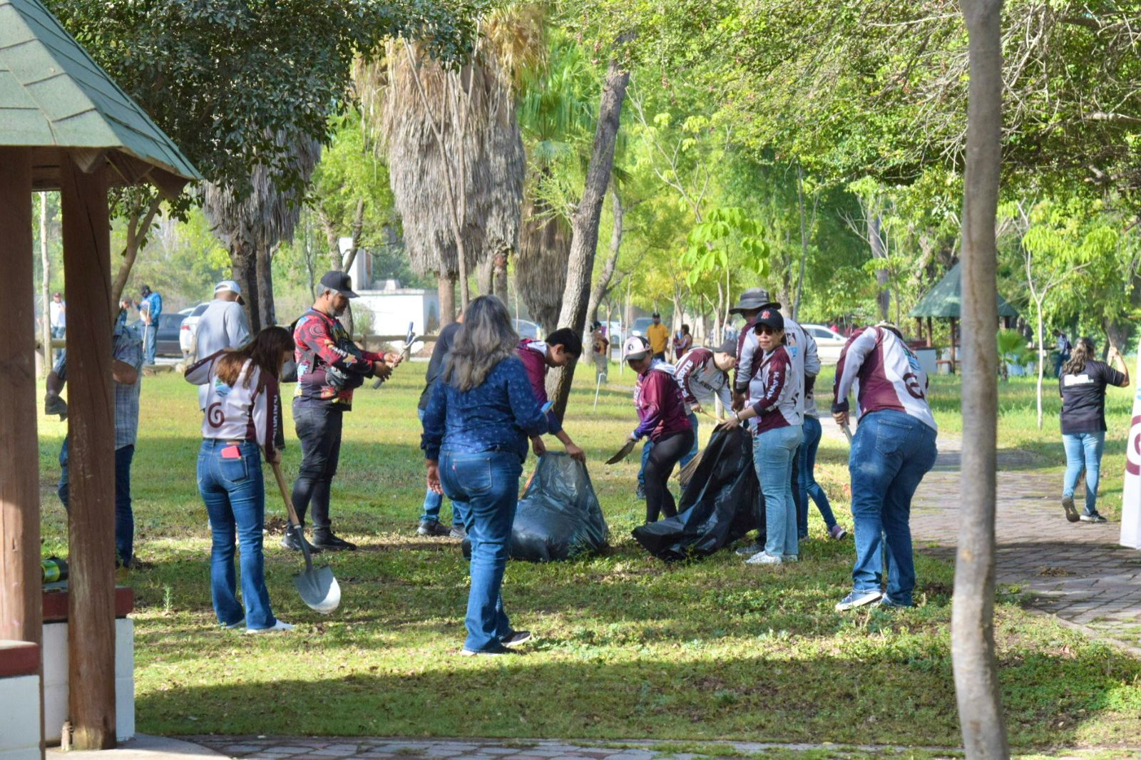 Personas limpiando en un parque