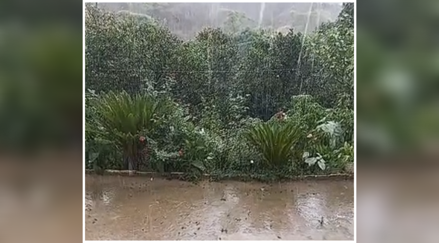 Lluvia en las comunidades serranas de Sinaloa