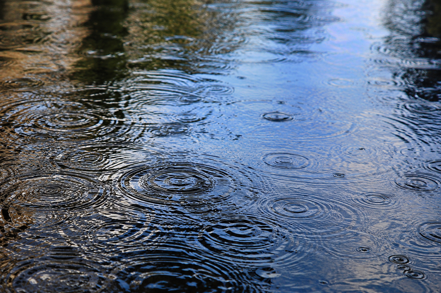 Lluvias
