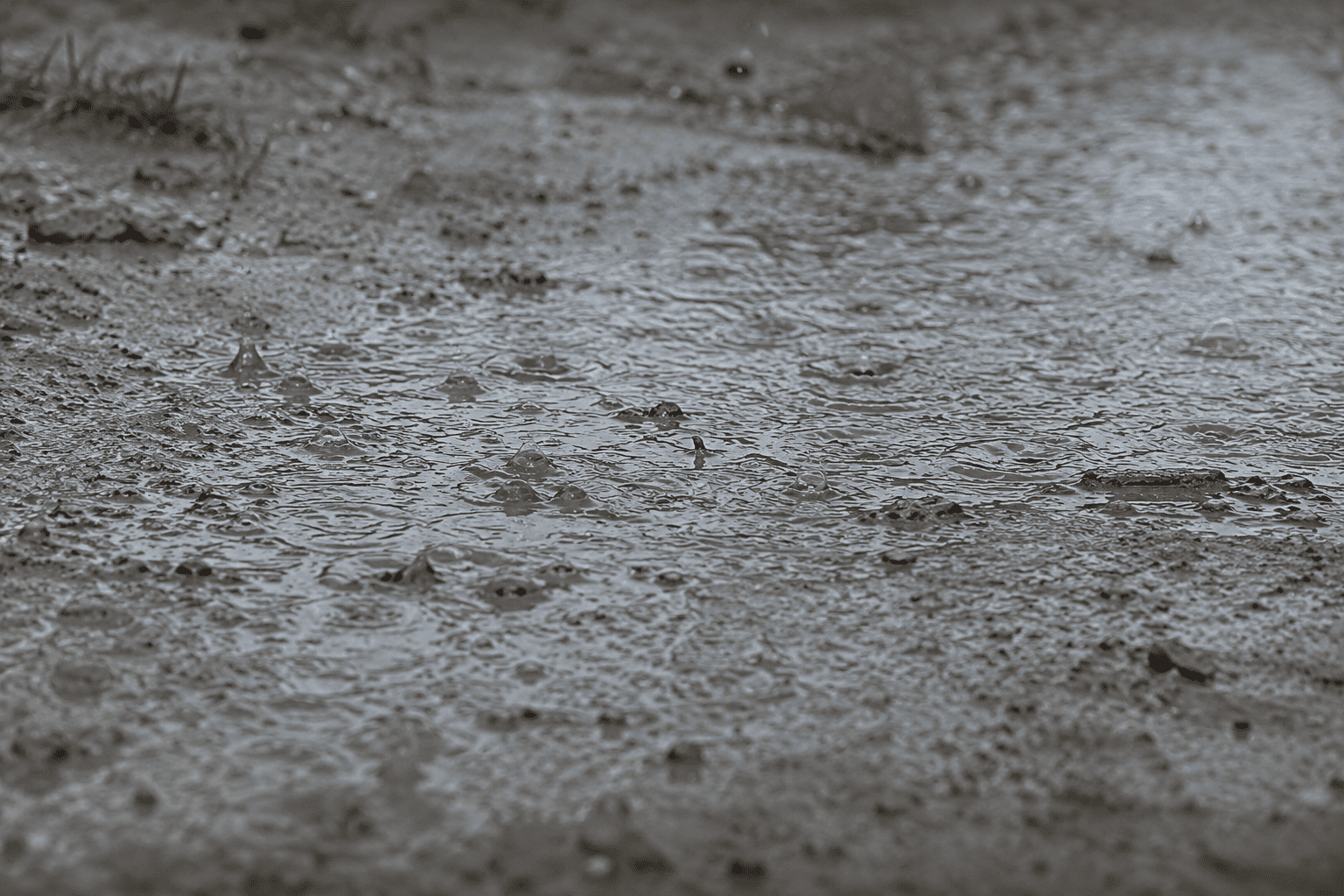Lluvias en la tierra