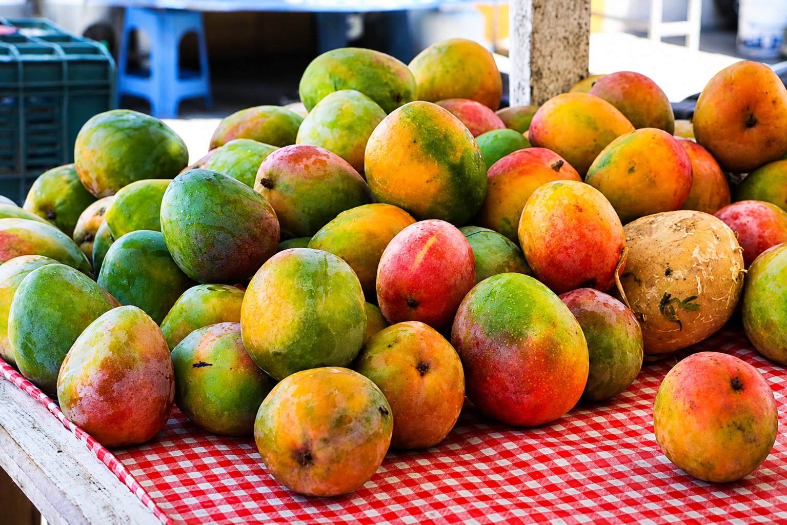 Mangos Sinaloa