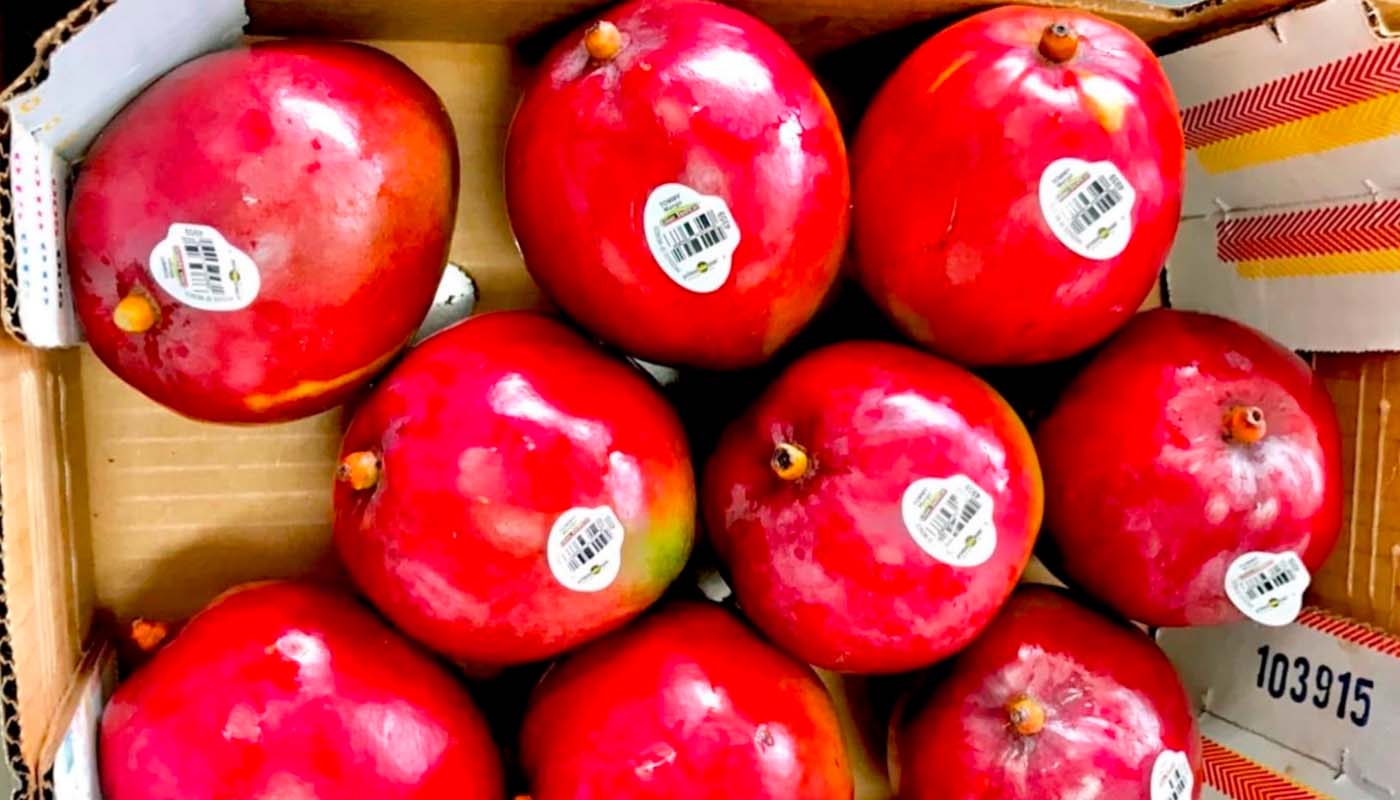 Mangos sinaloenses