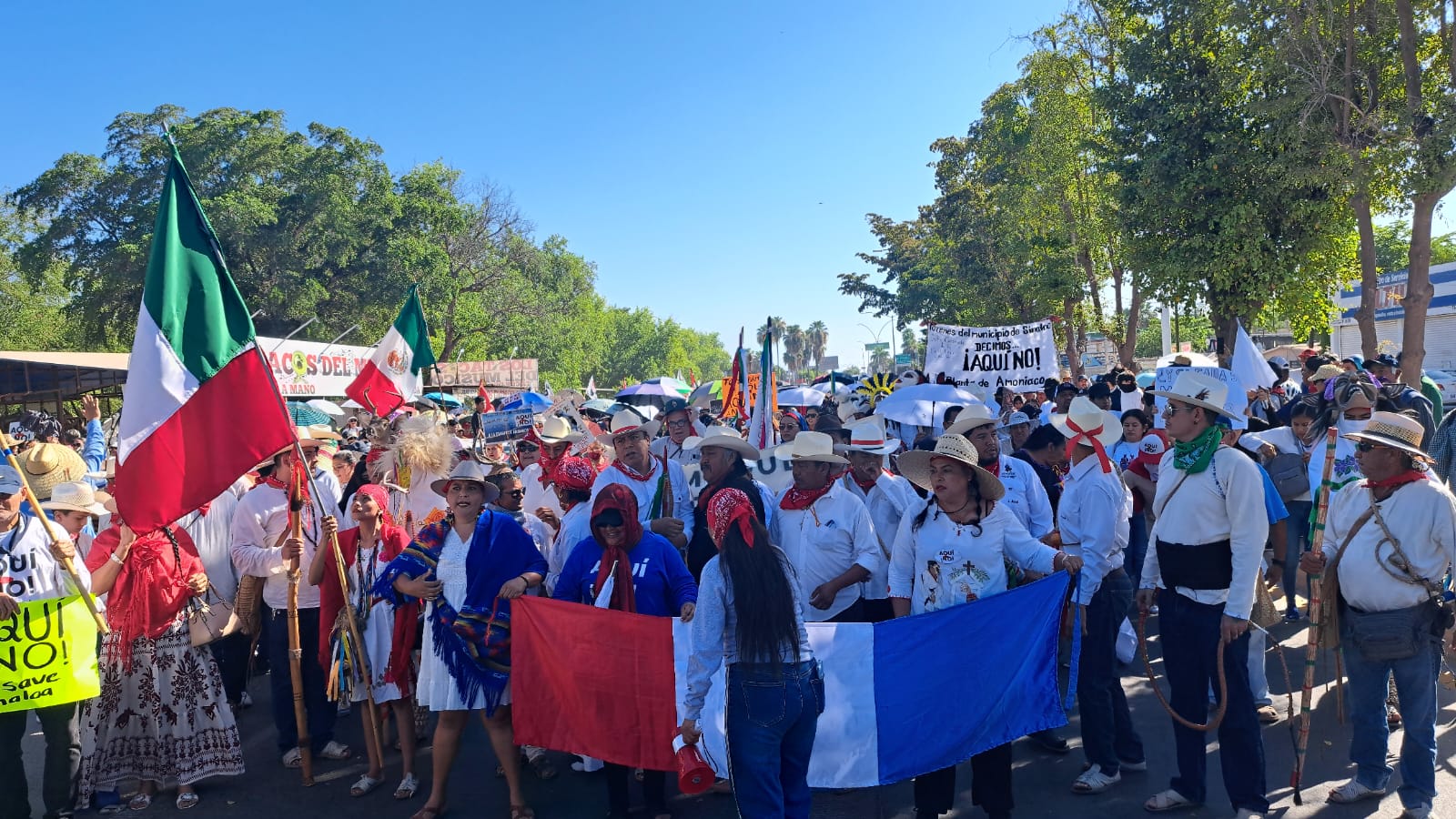 Manifestación