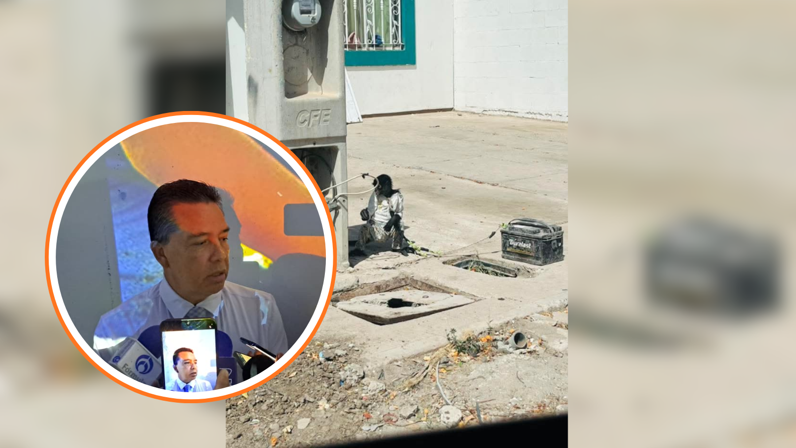 Repunta posesión de mascotas exóticas en Sinaloa
