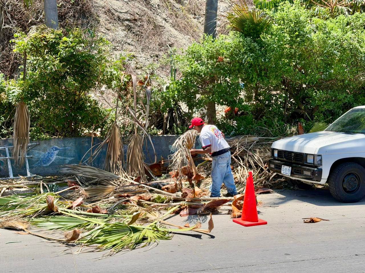 Personal de Obras Públicas y Servicios Públicos haciendo trabajos de rescate y embellecimiento en espacios públicos.
