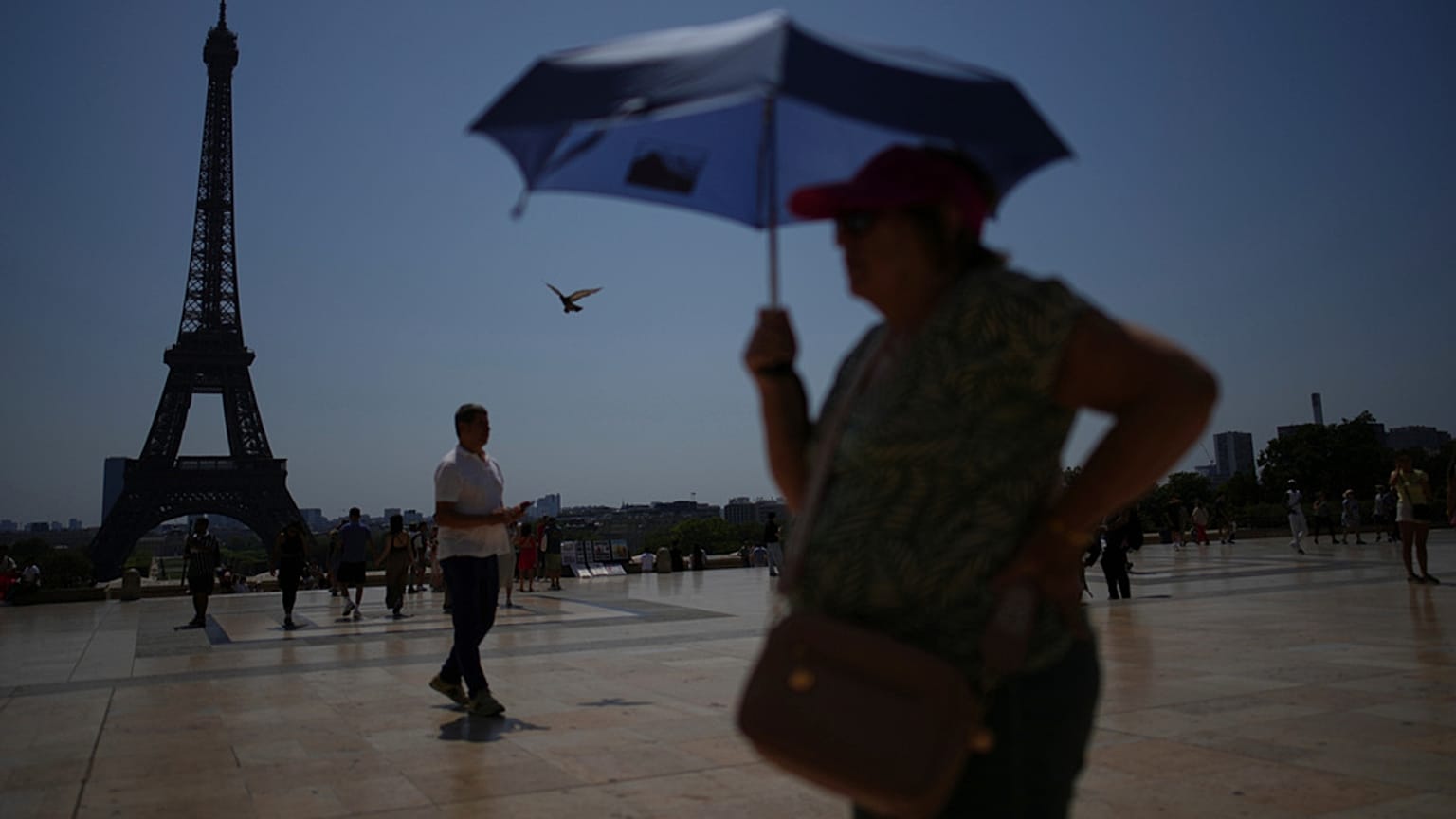 Francia, Reino Unido y Bélgica registran temperaturas récord: OMS alerta por amenaza a la salud