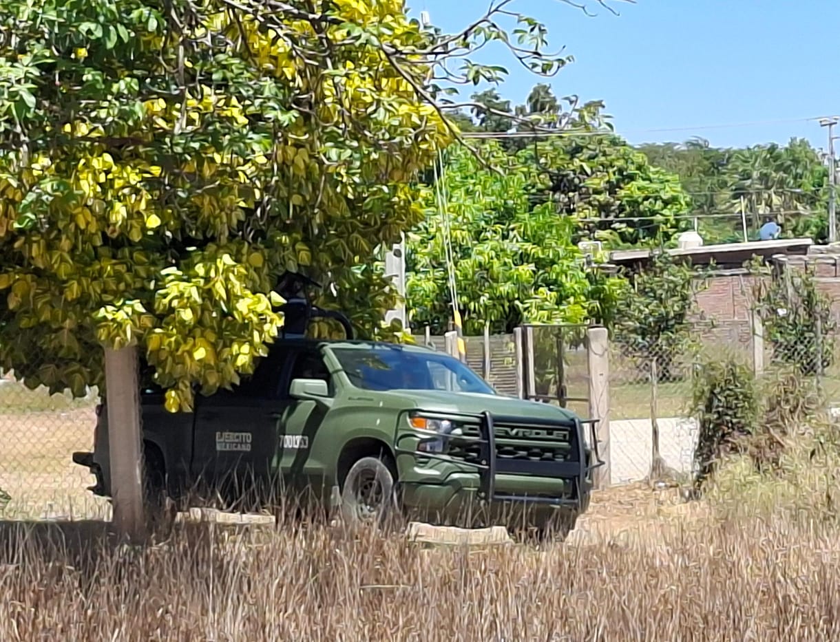 Operativo Guasave 1
