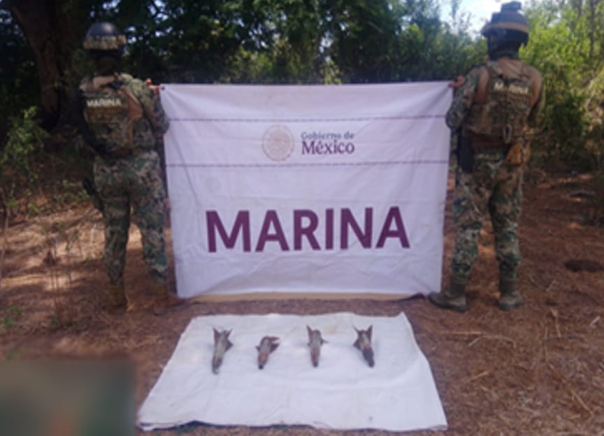 Dos elementos de la marina con armas en el suelo