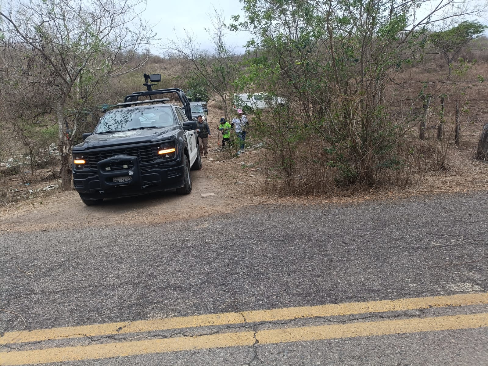Osamentas Mazatlán