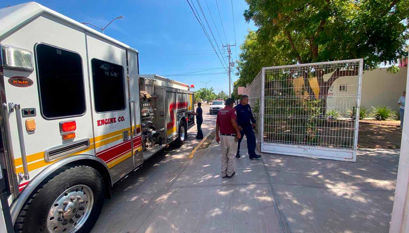 PC Ahome retira panal de abejas en DIF