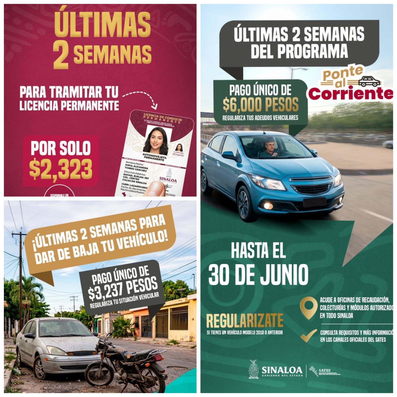 PROGRAMA VEHICULAR