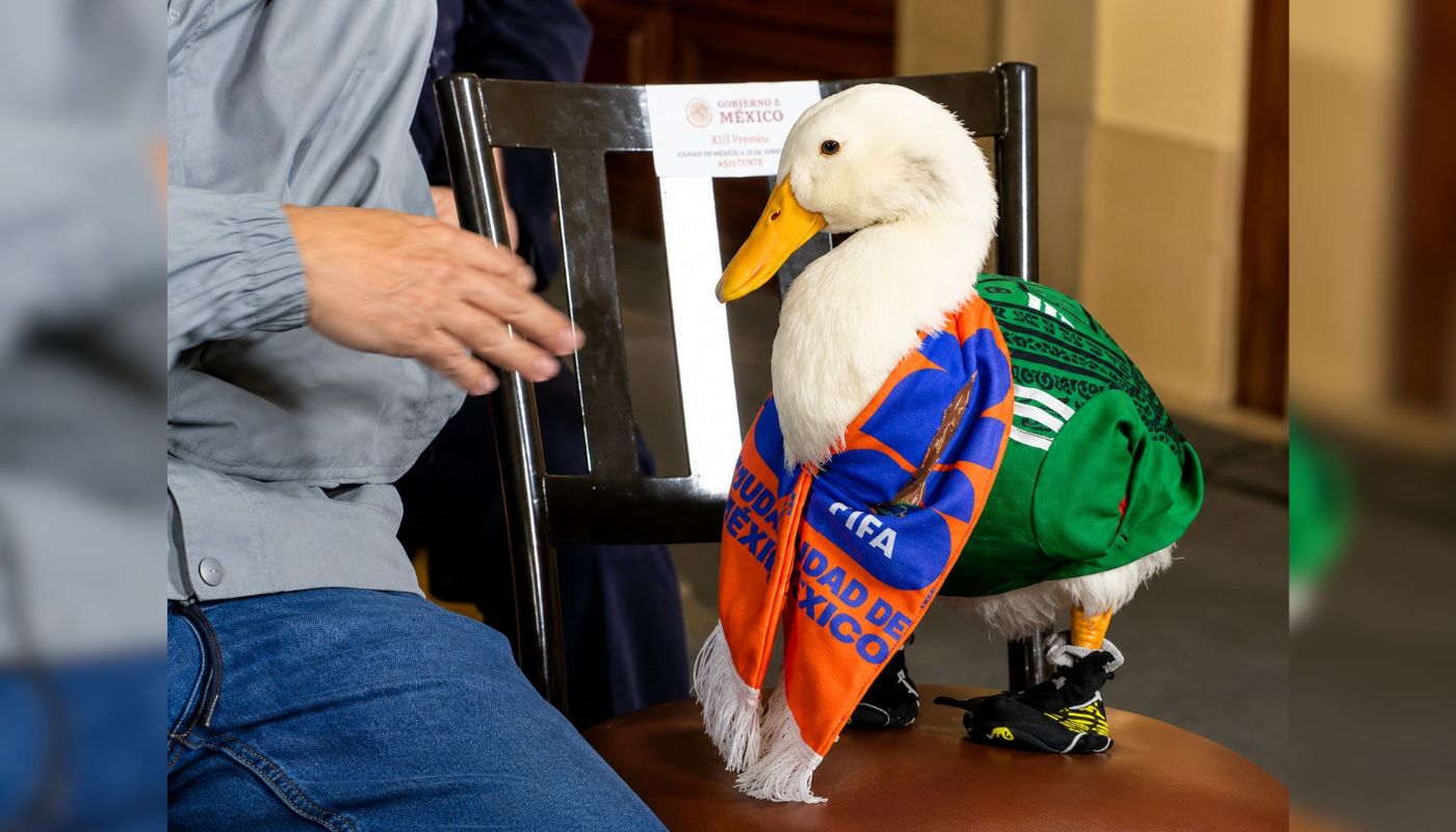 Pato Merlín, en la conferencia de la Mañanera del Pueblo