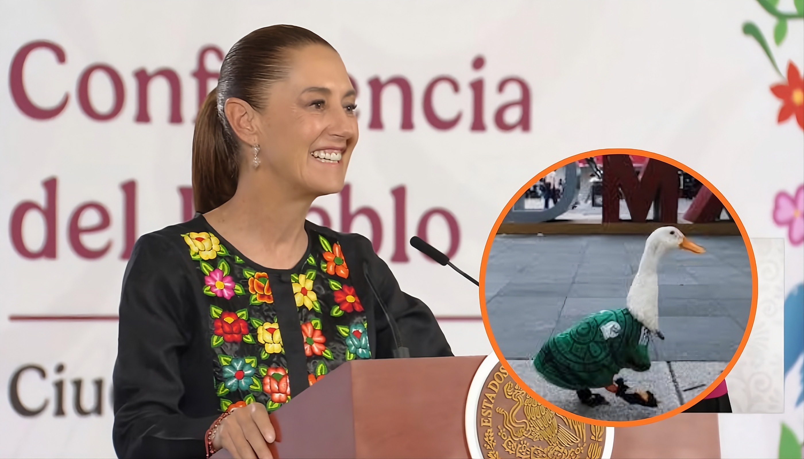 La presidenta de México, Claudia Sheinbaum y en un círculo el pato Merlín