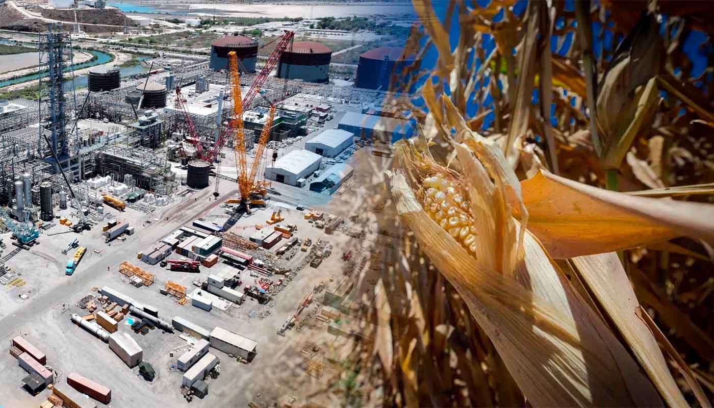 Planta GPO Topolobampo y maíz