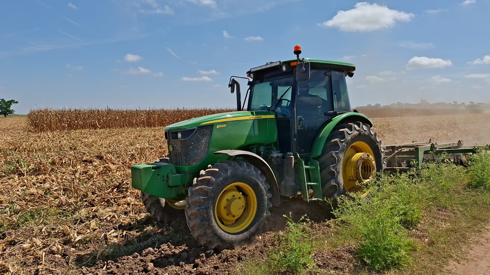 Máquina/tractor en un cultivo