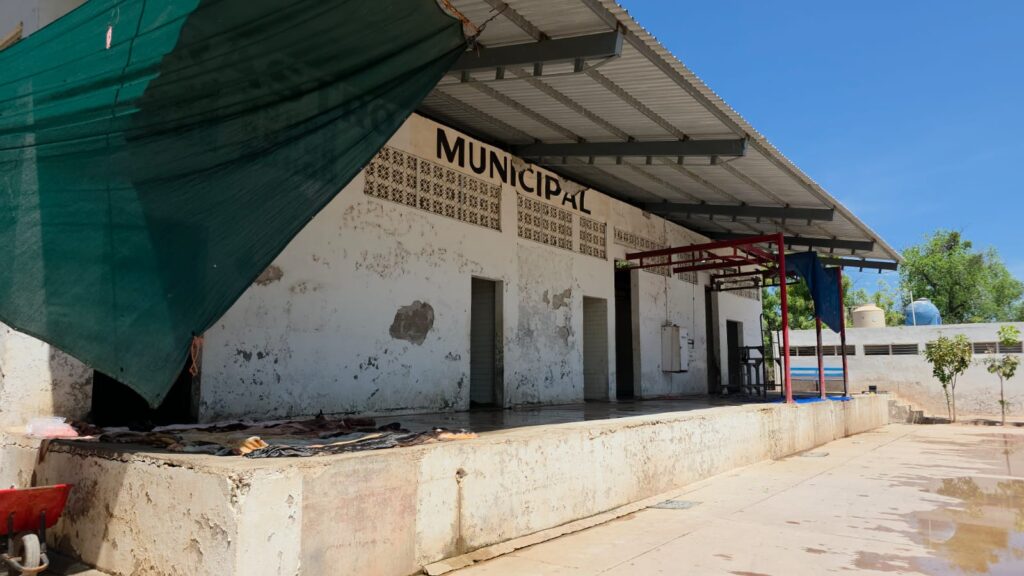 RASTRO DE GUAMUCHIL1