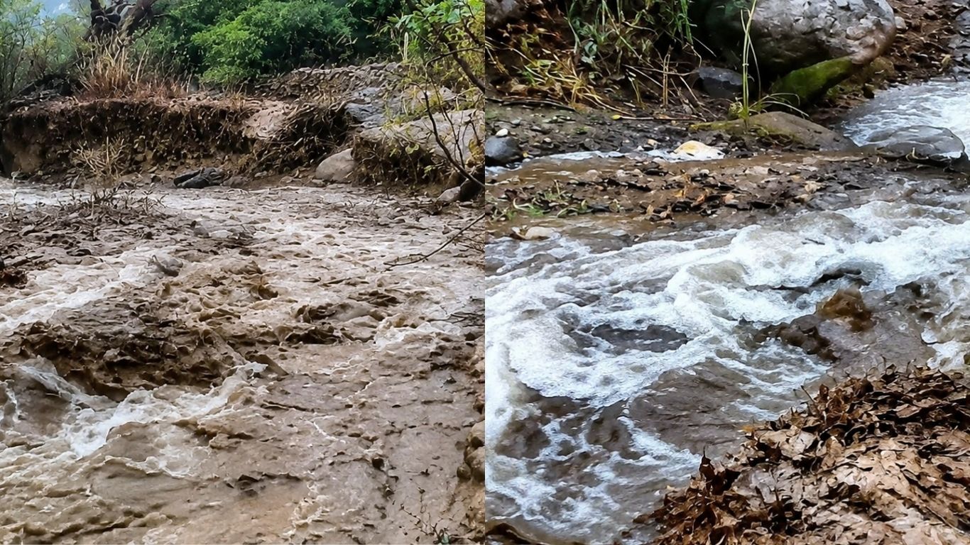 Arroyo de El Pichol, Choix