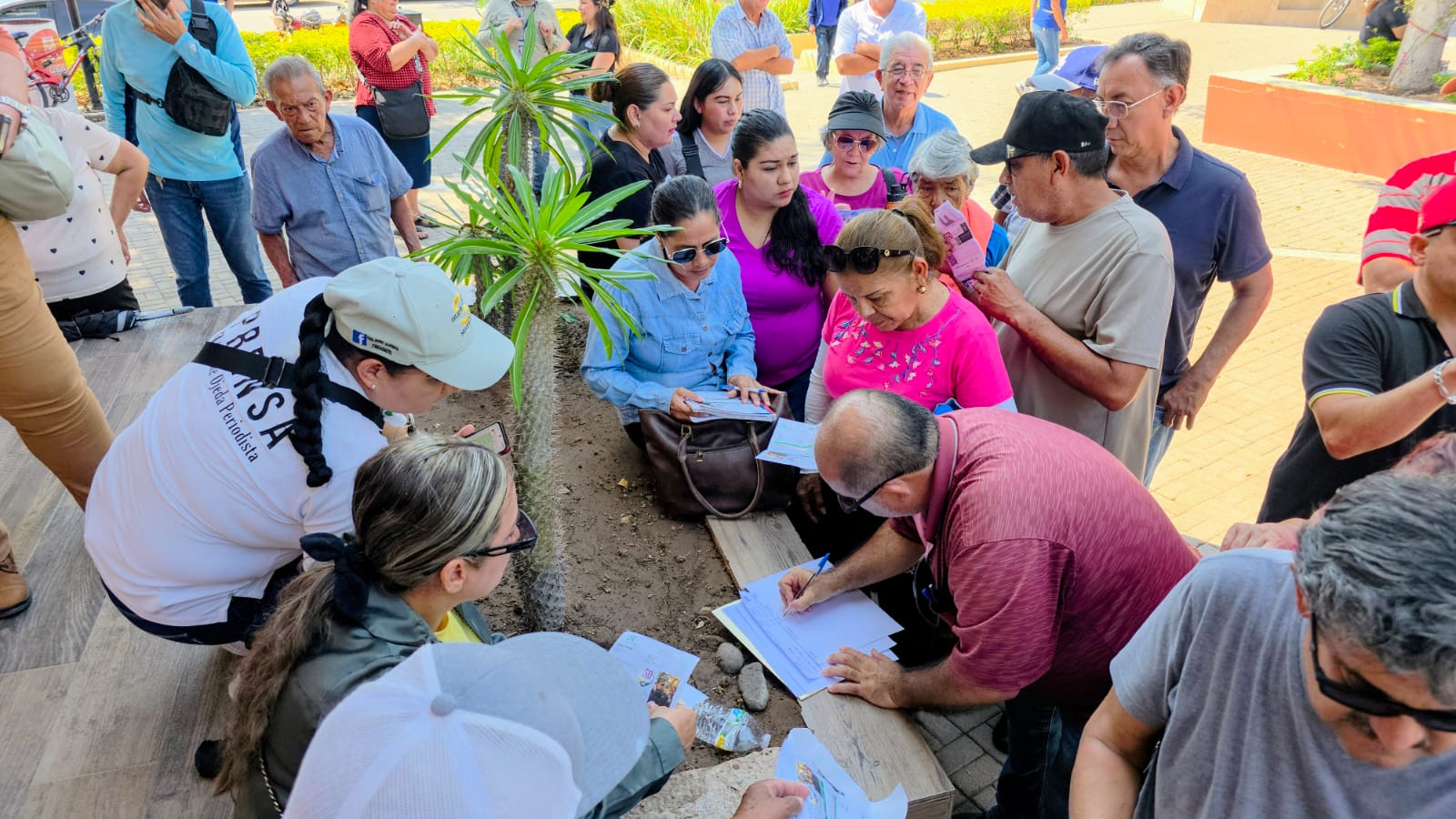 Recolección de Firmas