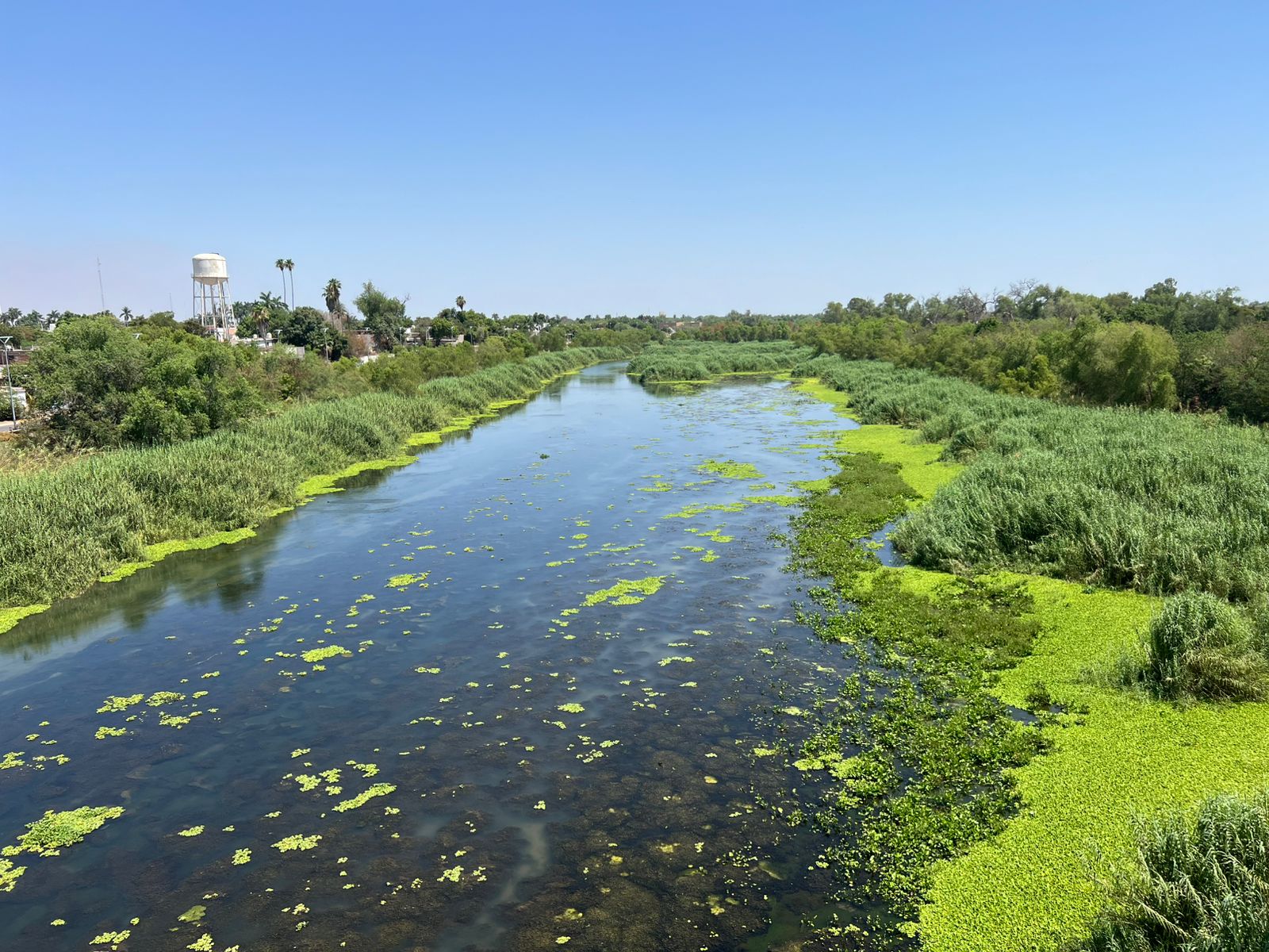 Río Sinaloa en Guasave.