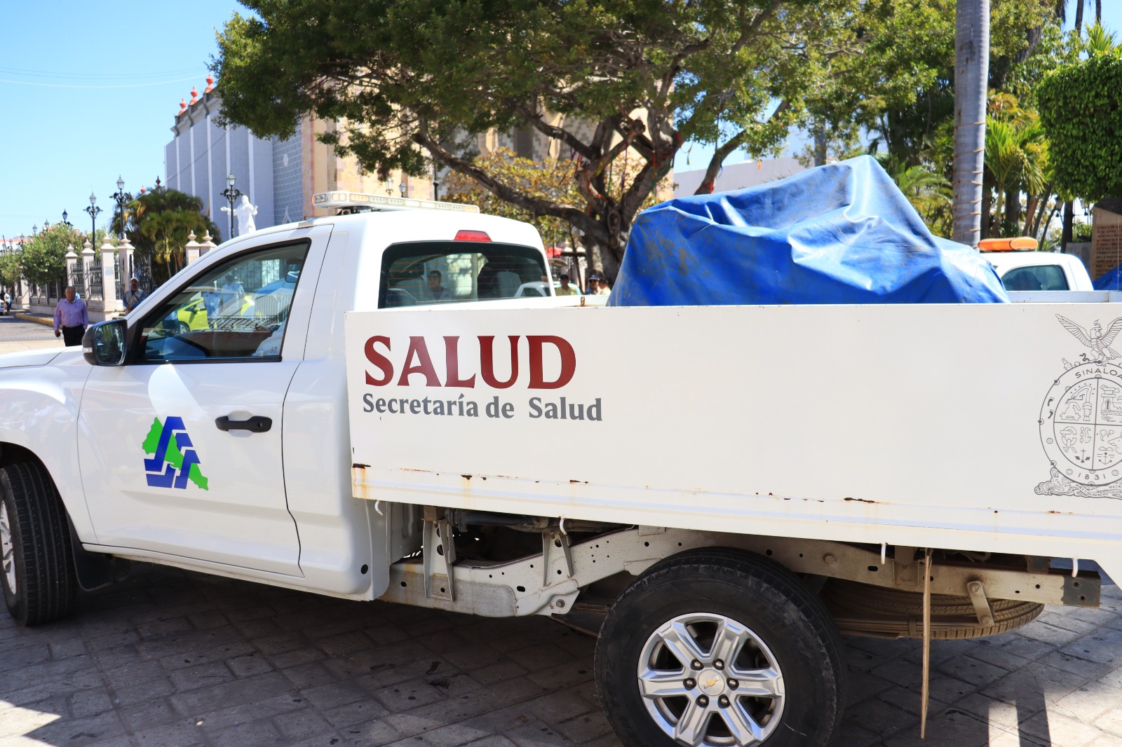Salud dengue-Mazatlán