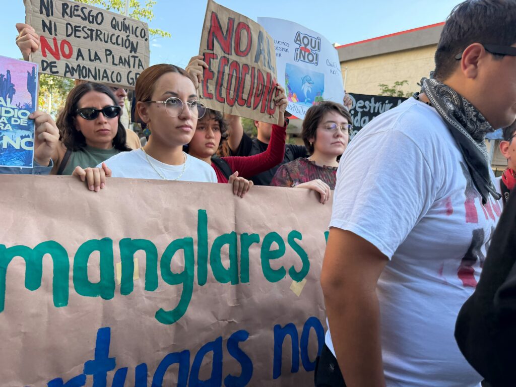 Mujer con una pancarta en marcha