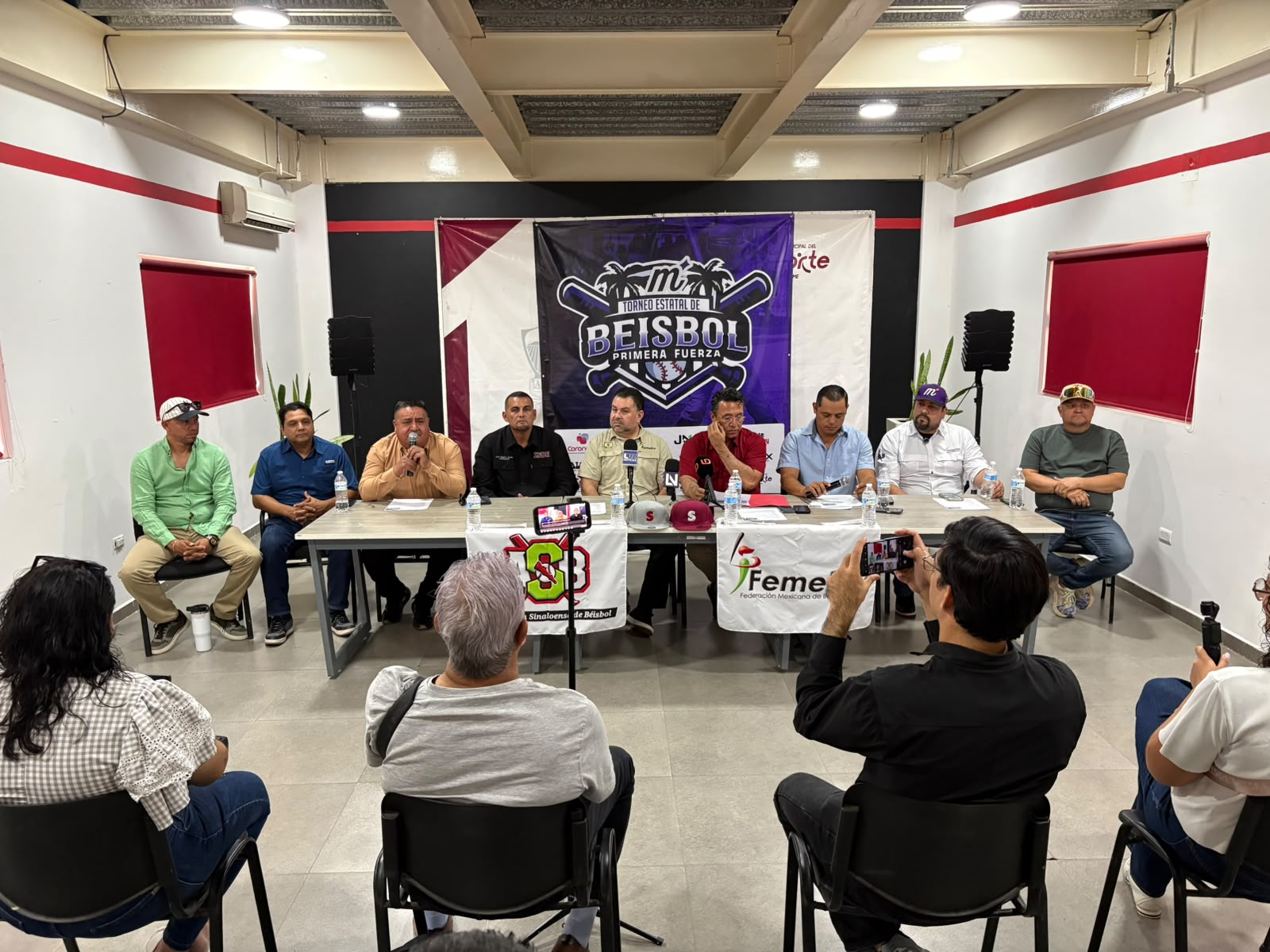 Torneo Estatal de beisbol