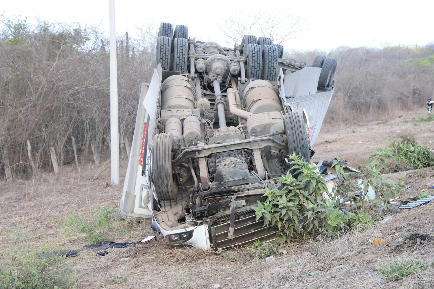 Tráiler volcado a un costado de la autopista Culiacán-Mazatlán.