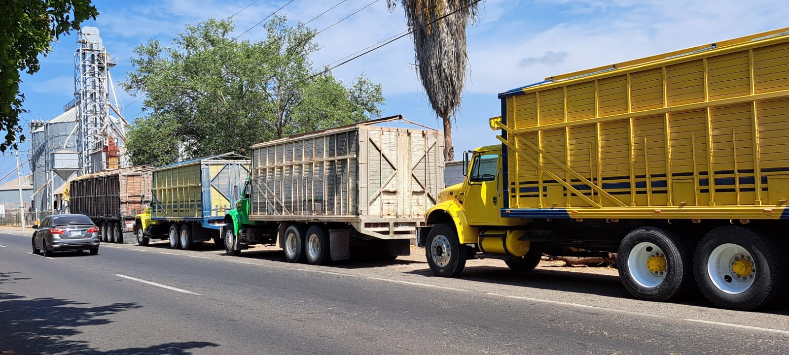 Transportistas de maíz