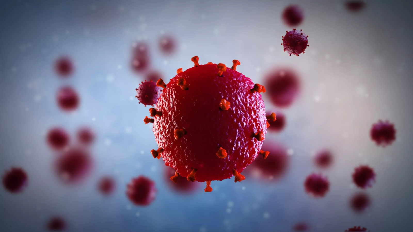 Infección rojo