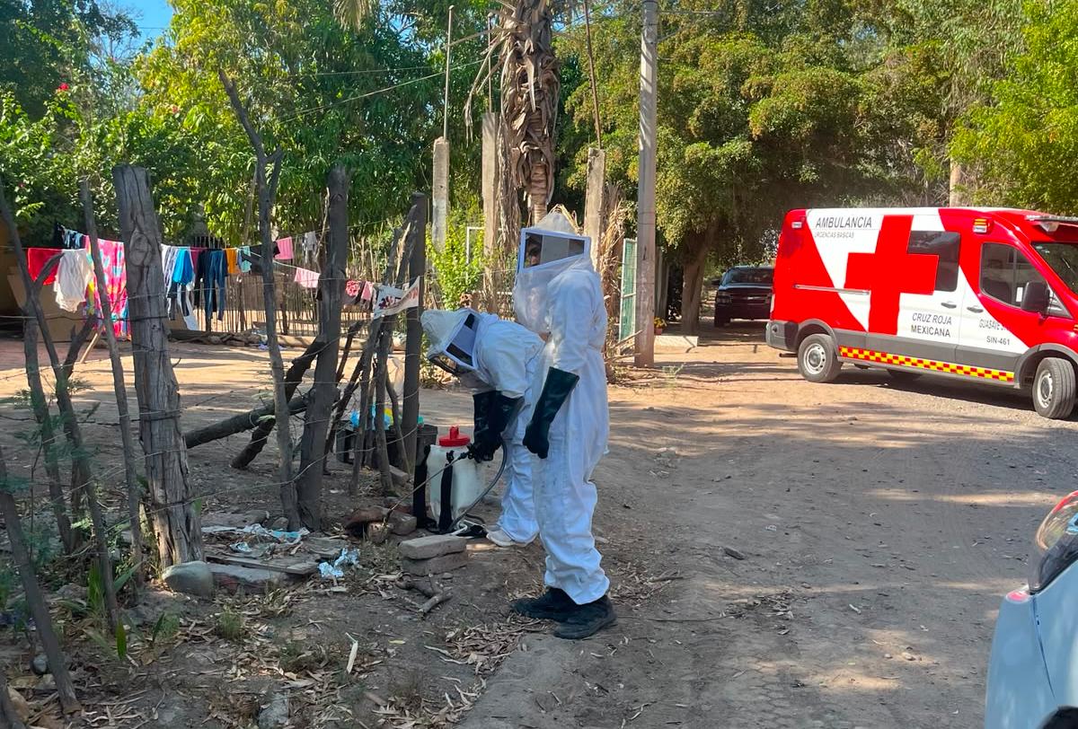 ataque de abejas