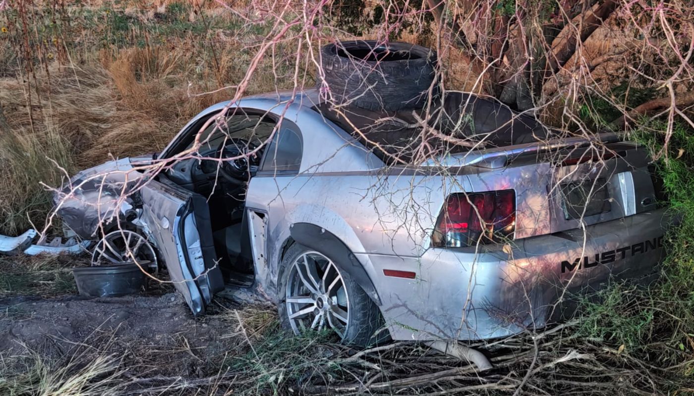 Mustang en el la tierra a un lado de la carretera