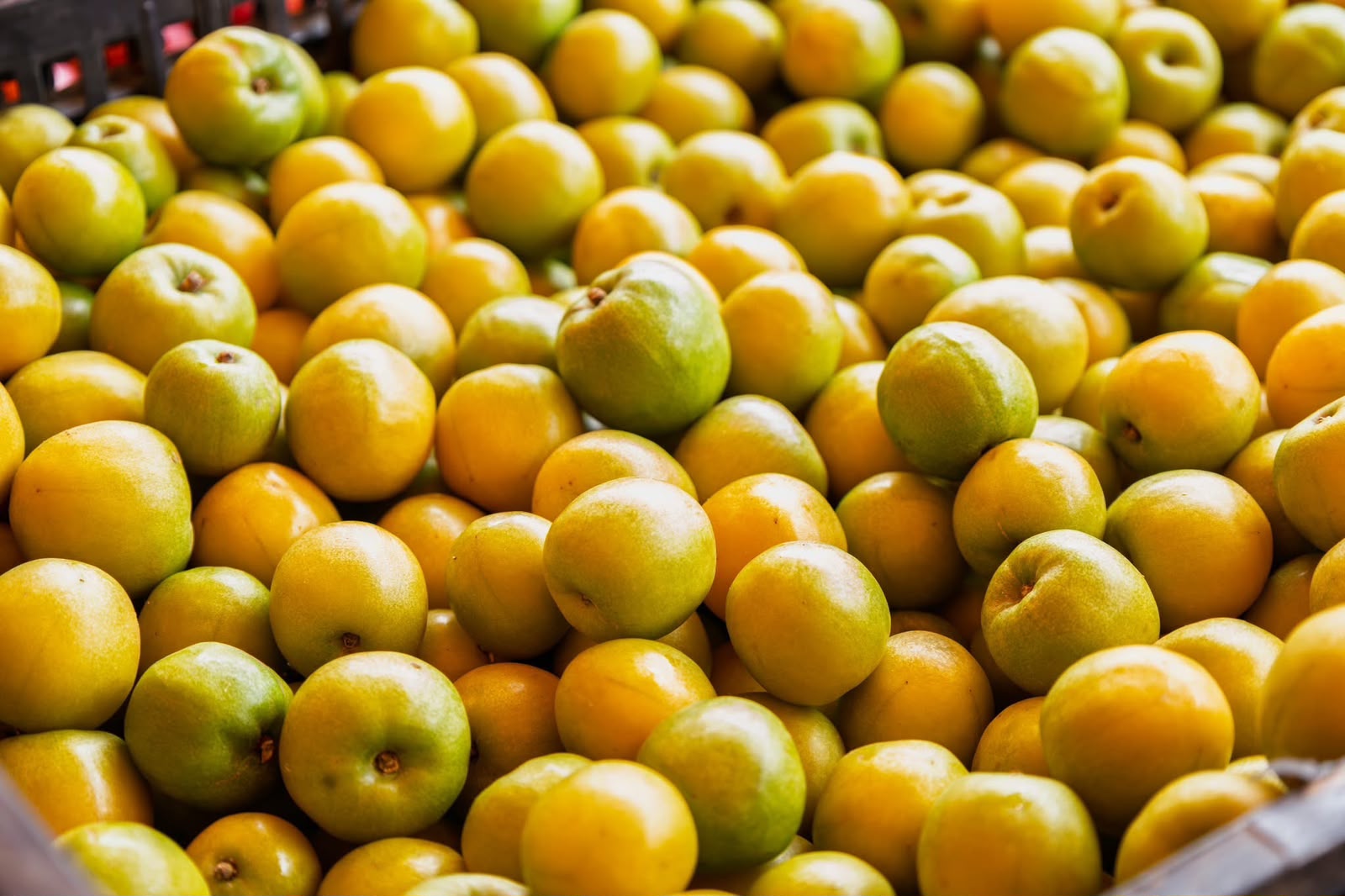 Ciruelas