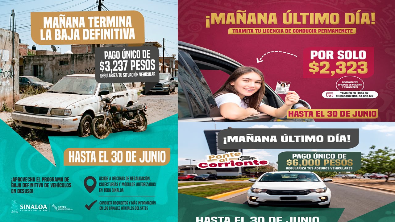 frenado vehicular