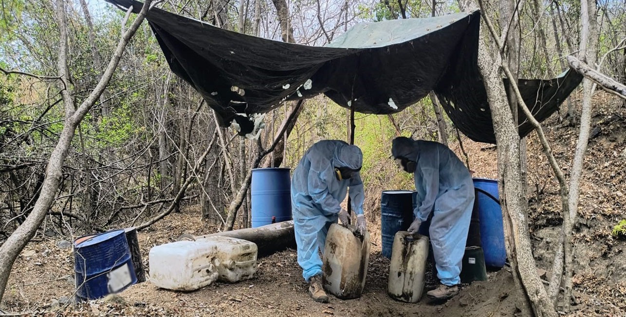 Personal de seguridad en un laboratorio clandestino improvisado en una zona de sierra