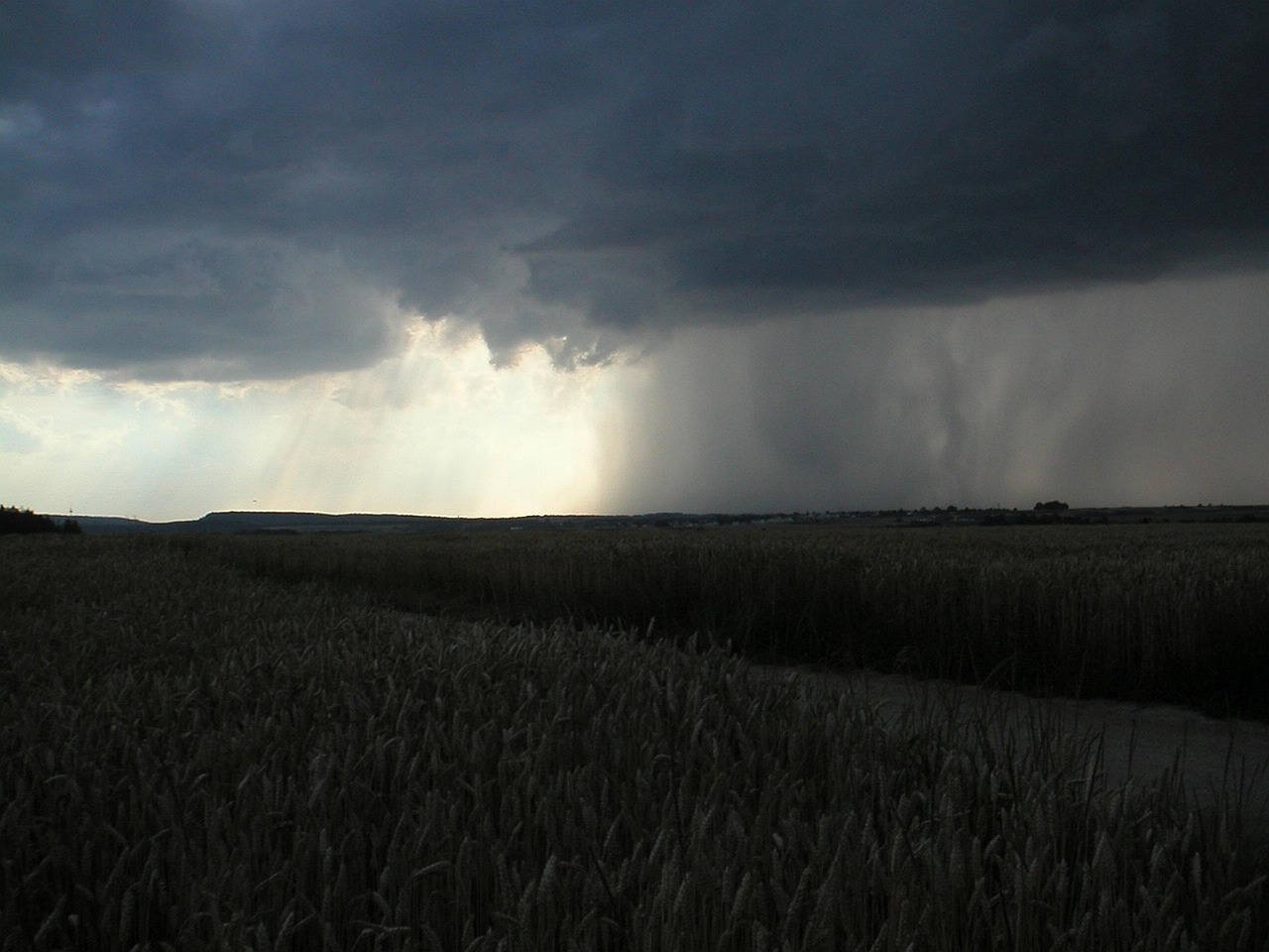 Lluvia en una zona de campo